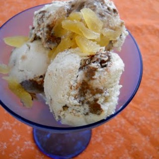 Ginger Fudge Swirl Ice Cream dairy-free, soy-free, sugar-free