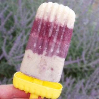 Grape Cream Homemade Popsicles, Dairy Free