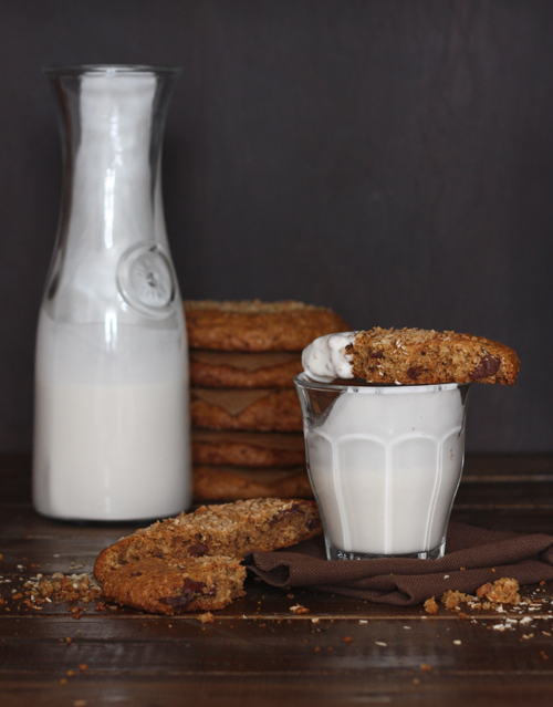 Toasted Coconut Paleo Cookies